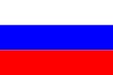 net.ru International Domain Name Registration